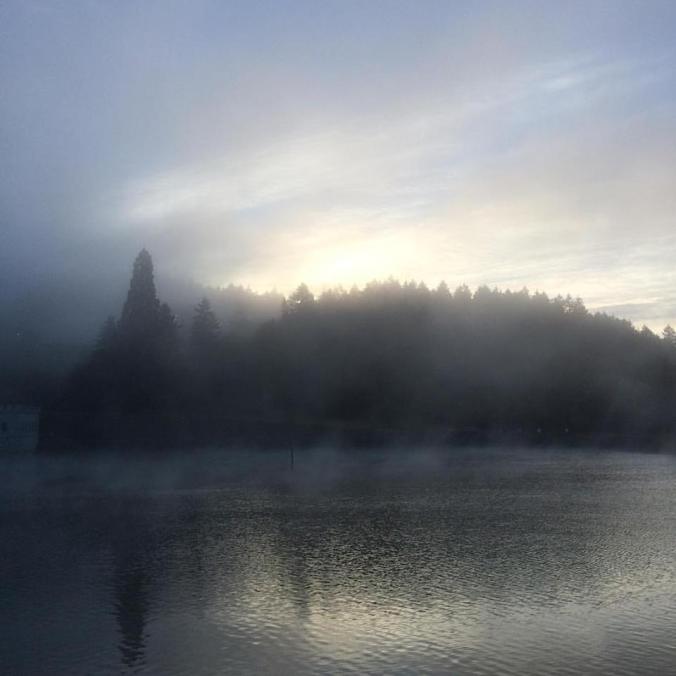 Mt. Tabor in Portland Oregon shrouded in mist