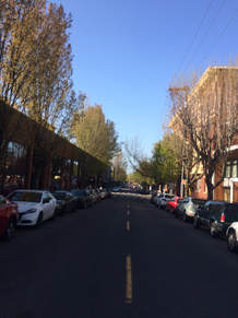 NW 23rd St, the Nob Hill neighborhood in Portland