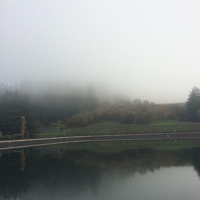 Fog on Mount Tabor, from one of the lower reservoirs in Portland Oregon