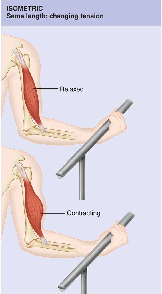 Diagram of a left arm demonstrating isometric exercise