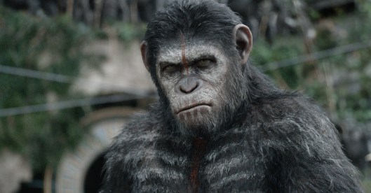 A still from Dawn of the Planet of the Apes.