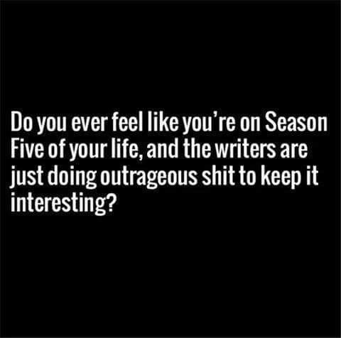 “Do you ever feel like you’re on Season 5 of your life and the writers are just doing outrageous shit to keep it interesting?”