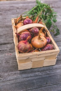 A wicker basket on a wooden table full of produce, with red onions in front and carrots in the back.