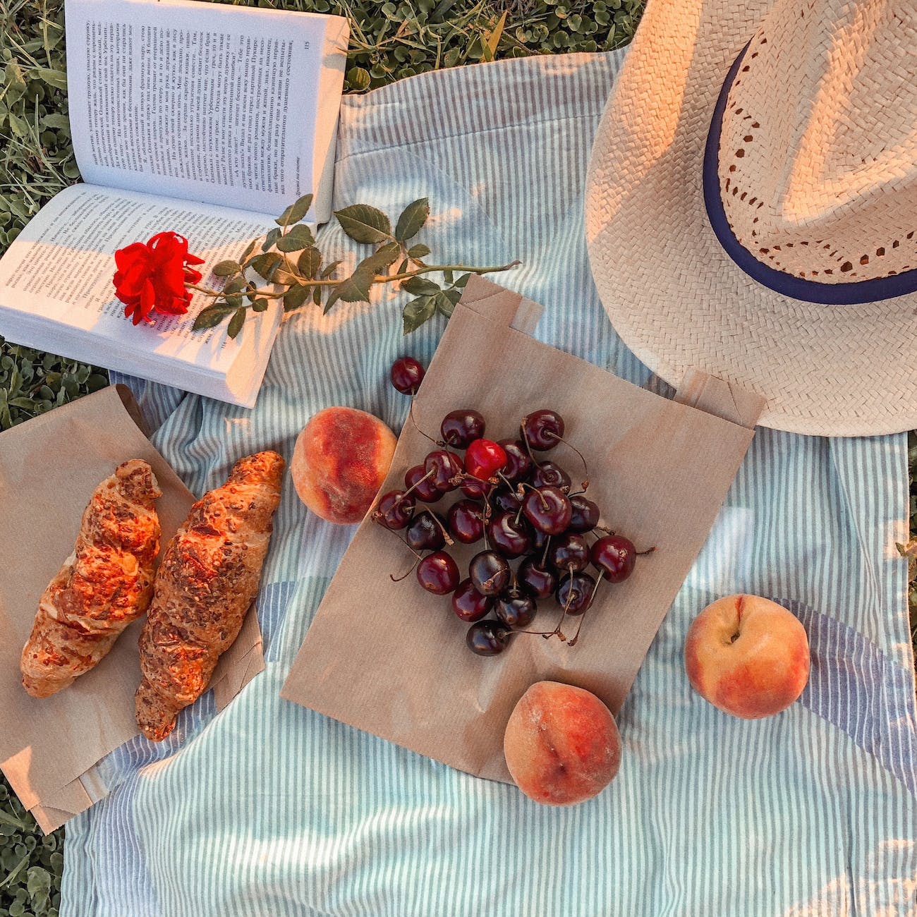 an overhead view of a simple picnic. A straw hat, an open book, and a rose are visible on a blue-striped blanket along with peaches, cherries, and a couple of croissants.